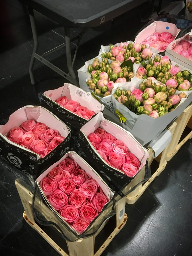 Riccardo-Magherini-Photography_Vranjes Rosa & Tabacco_Backstage